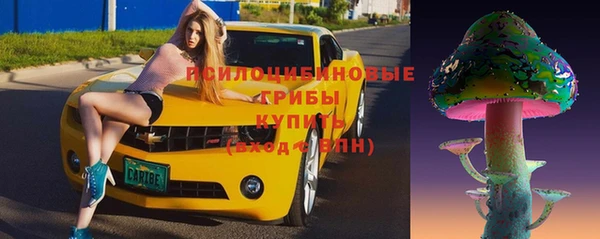 СК Нефтекумск