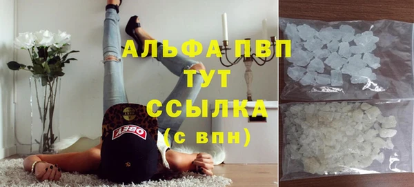 стаф Нея