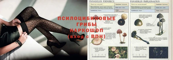 стаф Нея