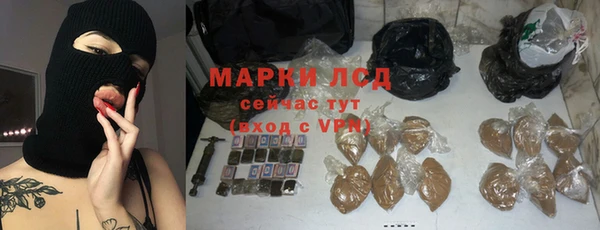 стаф Нея