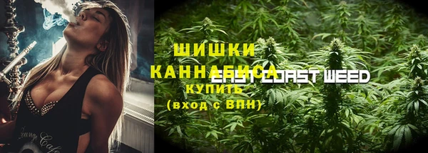 стаф Нея